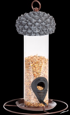 Comedero Pajaros Silo Forma Bellota